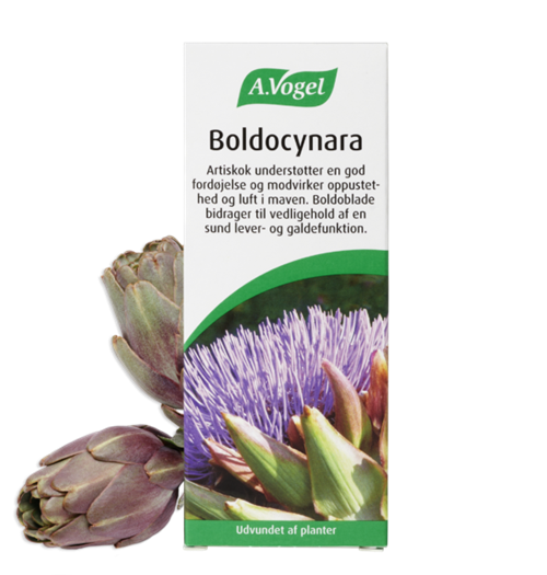 Boldocynara Dråber - 100 ml. - A.Vogel