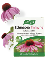 Echinacea Immune - 30 Tabl. - A.Vogel
