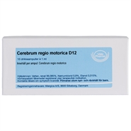 Cerebrum regio motorica D12 - 10 ampuller - Allergica