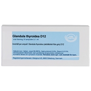 Glandula thyroidea D12 - 10 ampuller - Allergica