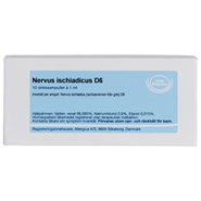 Nervus ischiadicus D6 - 10 ampuller - Allergica