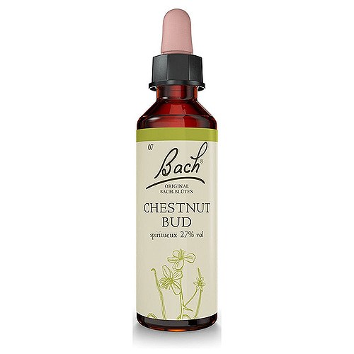 Bach Kastanieknop (Chestnut Bud) - 10 ml - Bach Originale Blomsterremedier