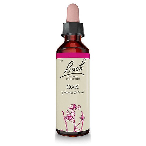 Bach Stilk-eg Oak Dråber - 10 ml - Bach Originale Blomsterremedier