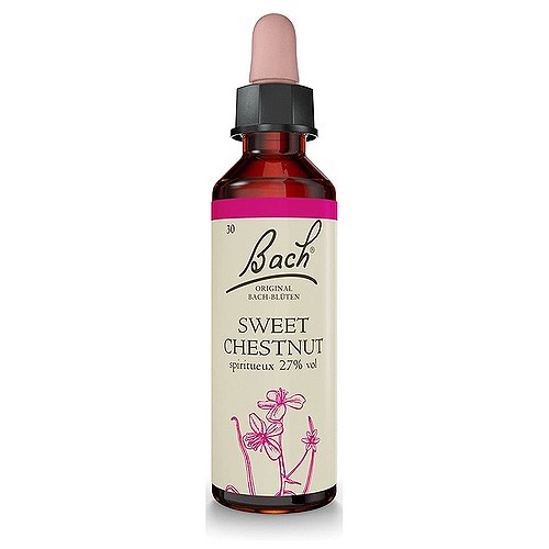 Bach Ægte Kastanje (Sweet Chestnut) Blomsterremedie - 10 ml - Bach Originale Blomsterremedier