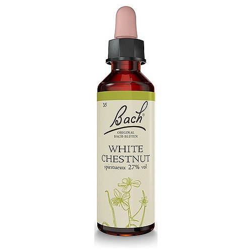 Bach Hestekastanje (White Chestnut) - 10 ml - Bach Originale Blomsterremedier