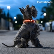 LED krave til kæledyr Petlux - InnovaGoods