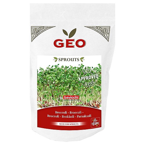 Broccolifrø til spiring Økologisk - 300 gram - GEO