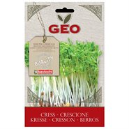 Karse til spiring Økologisk - 35 gr - Geo