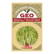 Broccolifrø til spiring Økologisk - 13 gr - Geo