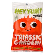 Skumfidus Triassic garden   Økologisk  - 100 gram - Hey Yum
