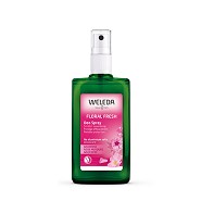 Deodorant Wild Rose - 100 ml - Weleda