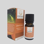Grapefruit oil - 10 ml - Ambience