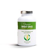 Organic Wheatgrass Juice Powder Økologisk - 100 gram - One Nutrition