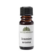 Icemintaroma - 10 ml