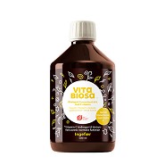 Vita Biosa Ingefær   Økologisk  - 500 ml