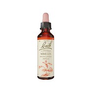 Bach Abeblomst - 20 ml -  Bach Originale Blomsterremedier