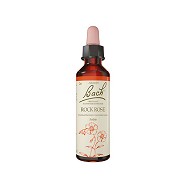 Bach Almindelig Soløje - 20 ml - Bach Originale Blomsterremedier