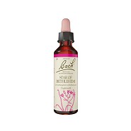 Bach Kost Fuglemælk - 20 ml - Bach Originale Blomsterremedier