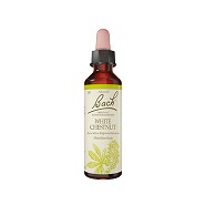 Bach Heste kastanie - 20 ml - Bach Originale Blomsterremedier