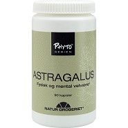 Astragalus - 90 kapsler