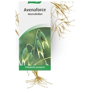 Avenaforce - 100 ml - A.Vogel