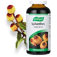 Spilanthes - 50 ml - A.Vogel