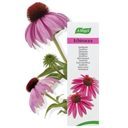Echinacea Tandpasta - 100 g - A.Vogel