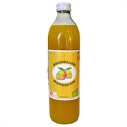Mangodrik Økologisk - 50 cl - Søbogaard