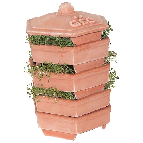 Terracotta Sprouter GEO - 1 styk